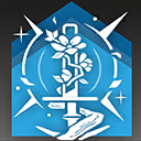 Skill 2